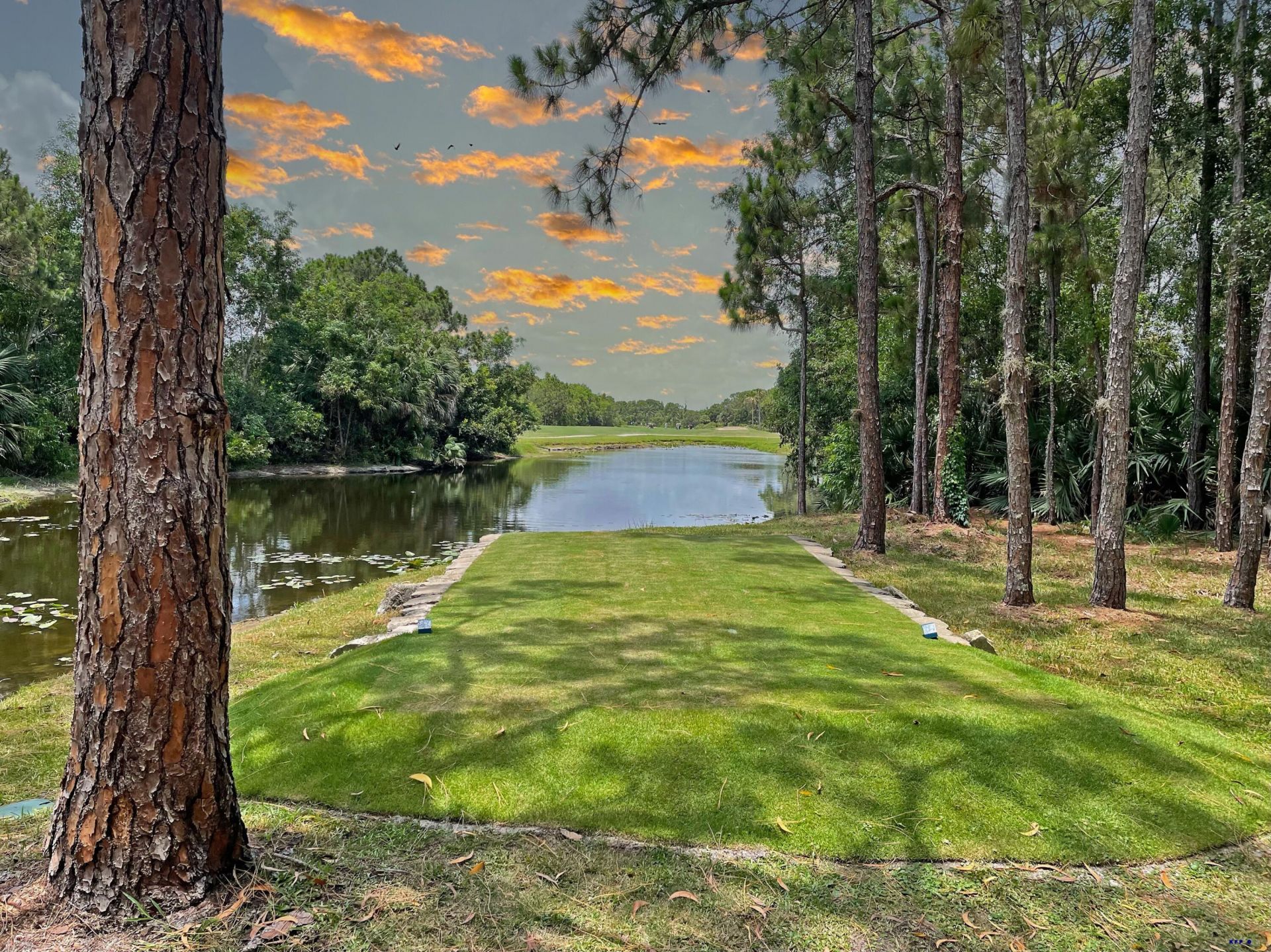 3483 SE Cormorant Place, Hobe Sound, FL 33455 Photo