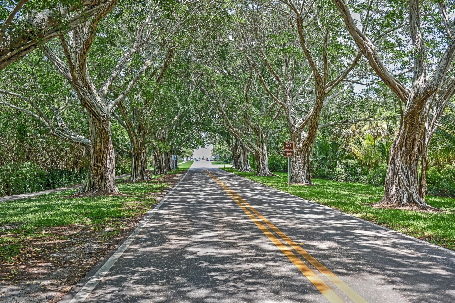3483 SE Cormorant Place, Hobe Sound, FL 33455 Photo