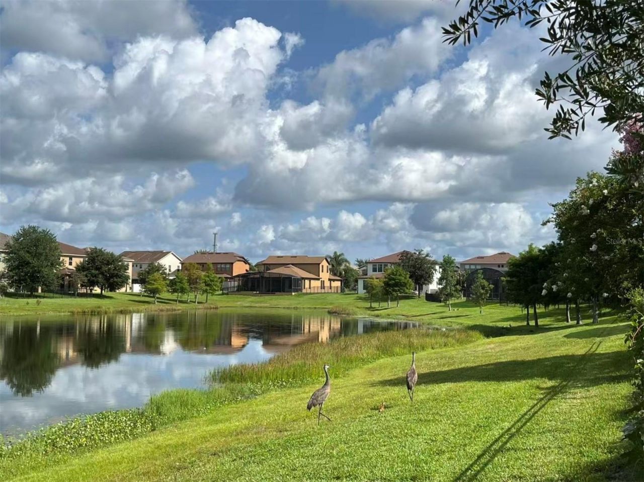 987 Fountain Coin Loop , Orlando, FL 32828 Photo