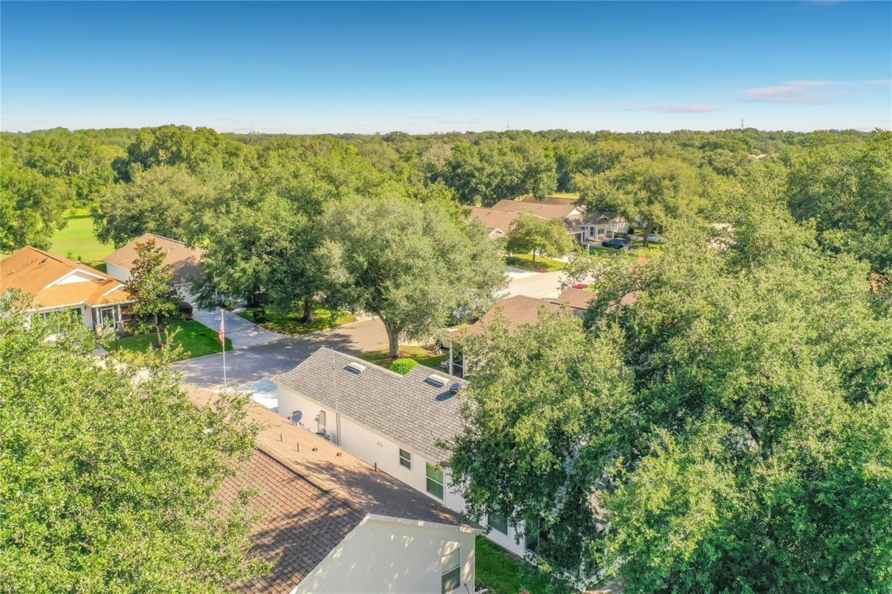 25146 Cranes Roost Circle , Leesburg, FL 34748 Photo