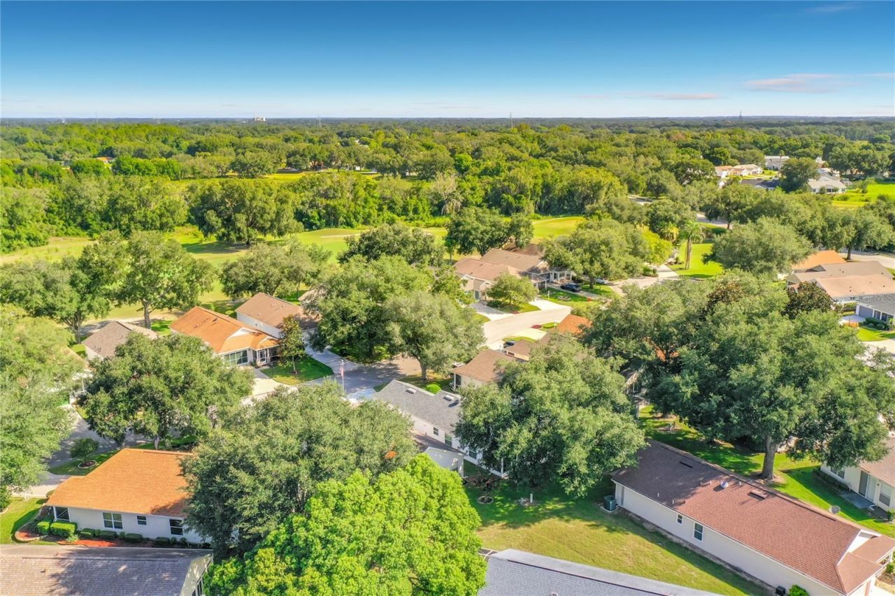 25146 Cranes Roost Circle , Leesburg, FL 34748 Photo
