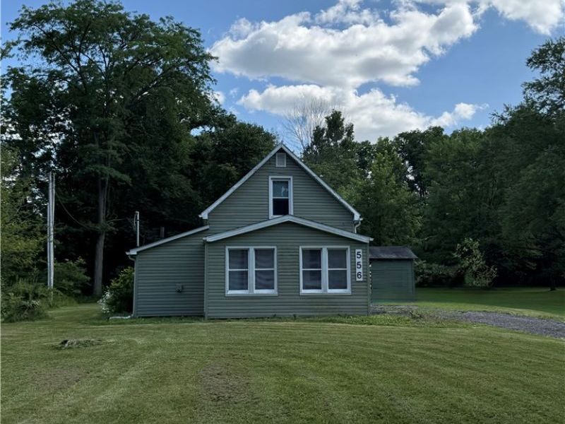 556 Champion Avenue E, Warren, OH 44483 Photo 1