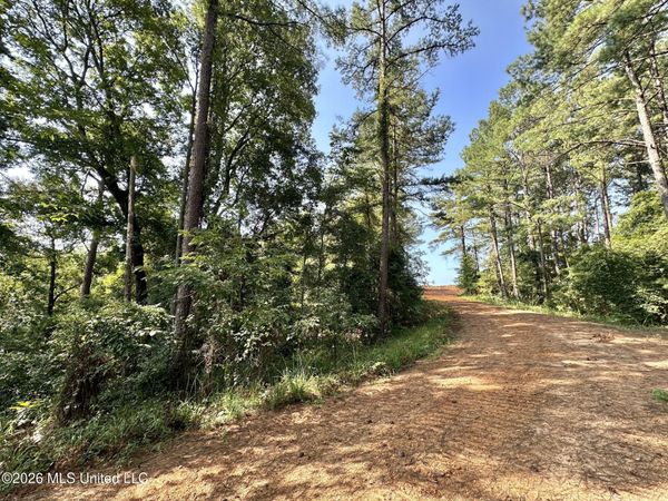 Highway 43 , Ethel, MS 39067