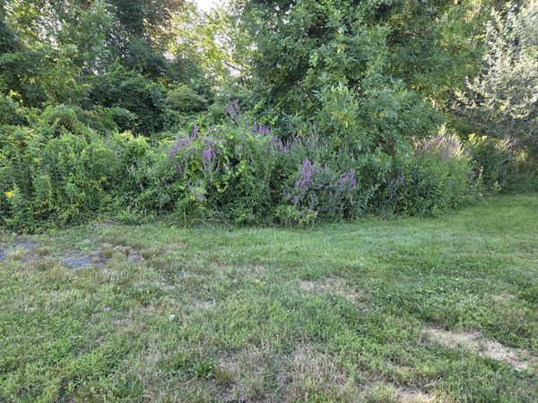 0 River Rd E, Berlin, MA 01503