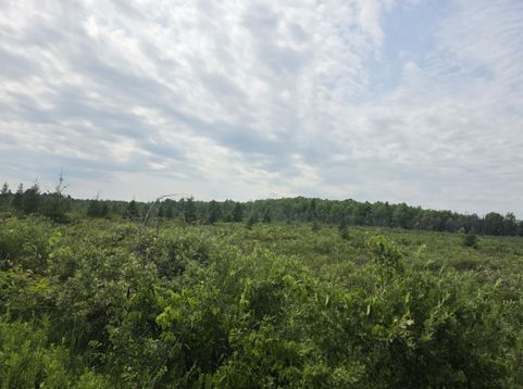 Main Photo