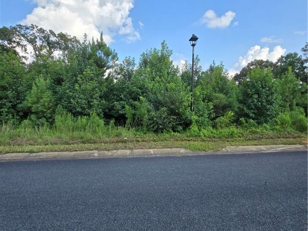 11696 Elam Drive , Northport, AL 35475