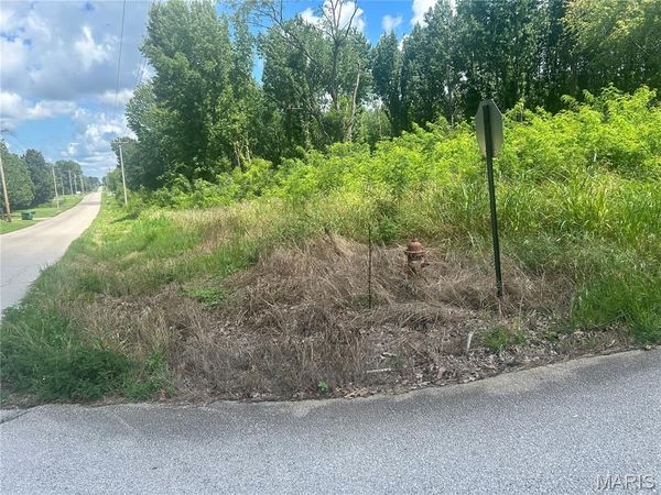 0 TAMARAK Lane , Dexter, MO 63841