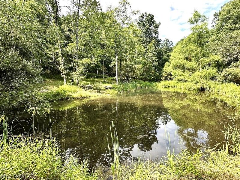 4922 Chase Road SE, Carrollton, OH 44615 Photo 47
