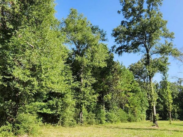 TBD Reames Rd, Zachary, LA 70791
