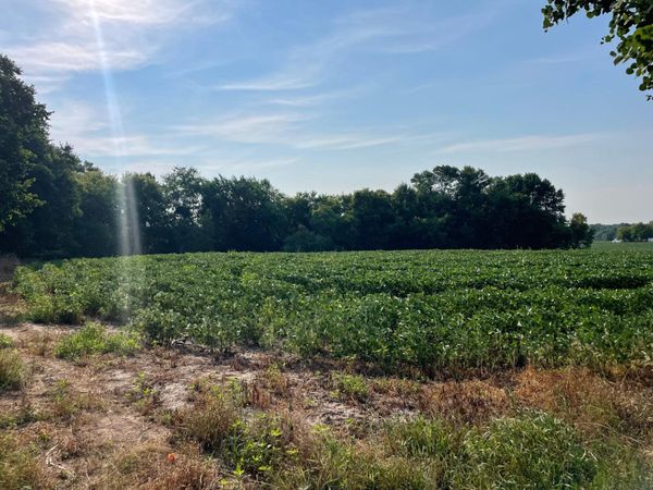 XXX 130th Avenue , Milaca, MN 56353