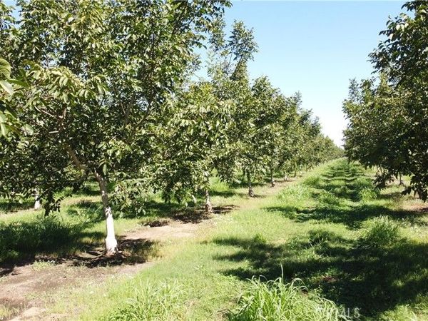 6514 County Road 8, Orland, CA 95963