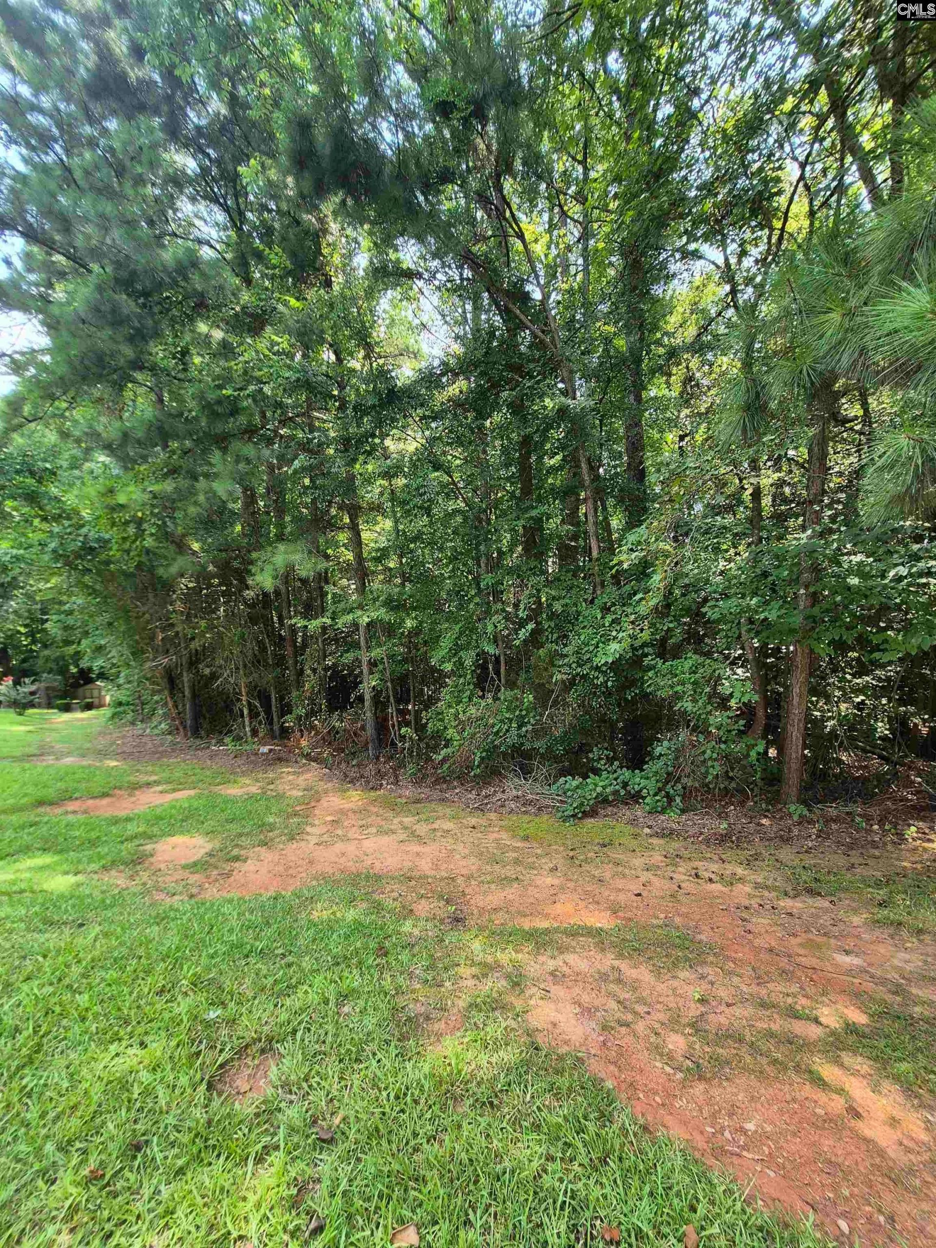 Lot 25 Woodbury Drive Photo 4