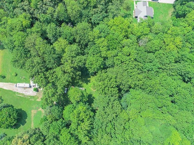 3958 Pettett Drive, Wayne Twp, OH 45107 Photo 6