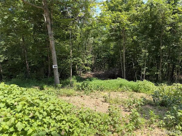 #408 Madison 410 , Fredericktown, MO 63645