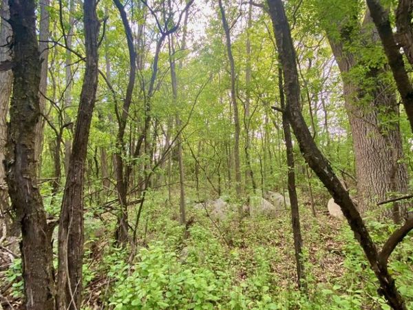 HILLSIDE DRIVE, Weyauwega, WI 54983