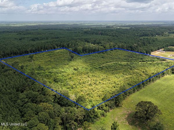 226 Van Holmes Road, Tylertown, MS 39667