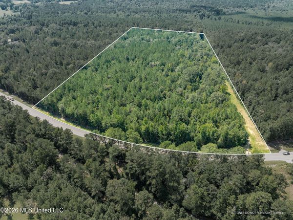 20 Acres Hwy 589 , Sumrall, MS 39482