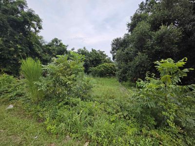 0 Hillsboro Road , Orangeburg, SC 29115