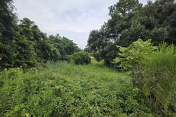 0 Hillsboro Road  photo 4