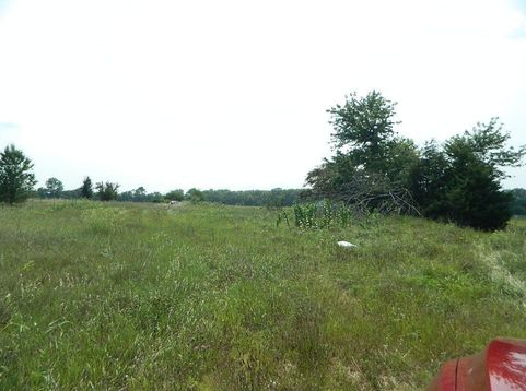 Main Photo
