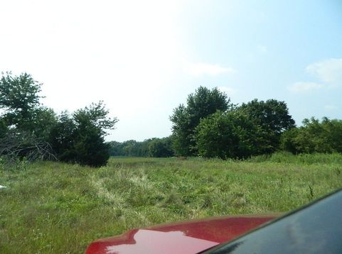 Main Photo