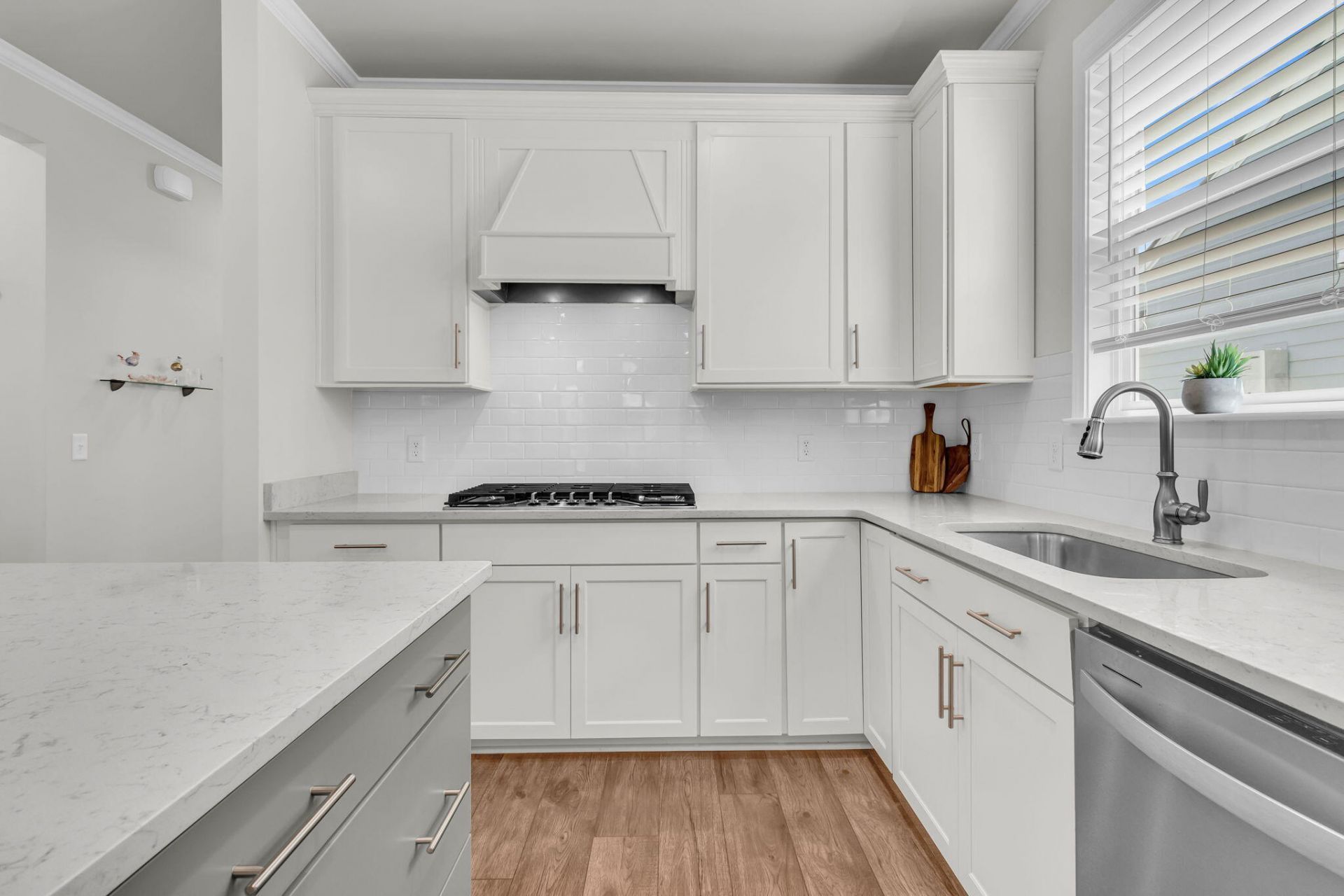 771 Blue Iris Way Photo 14
