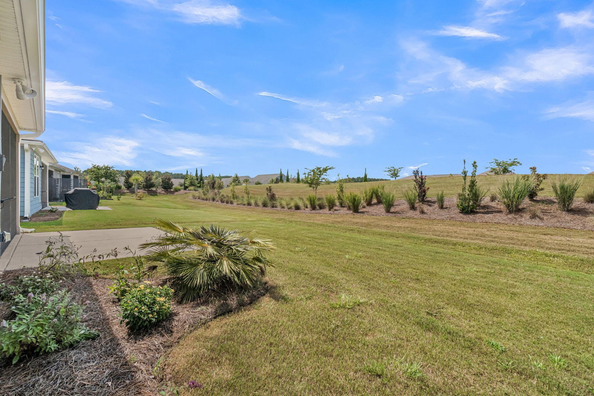 771 Blue Iris Way Photo 38