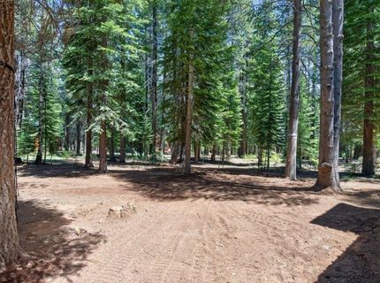 16244 Northwoods Boulevard, Truckee, CA 96161 Photo