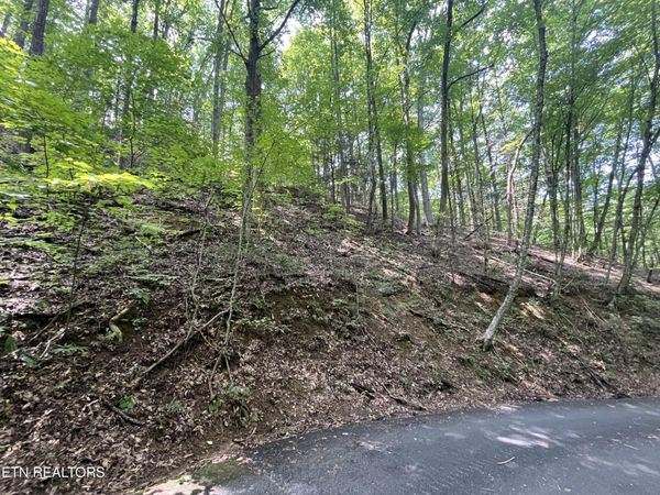Lot 334 Ridgefield Drive, Sevierville, TN 37876