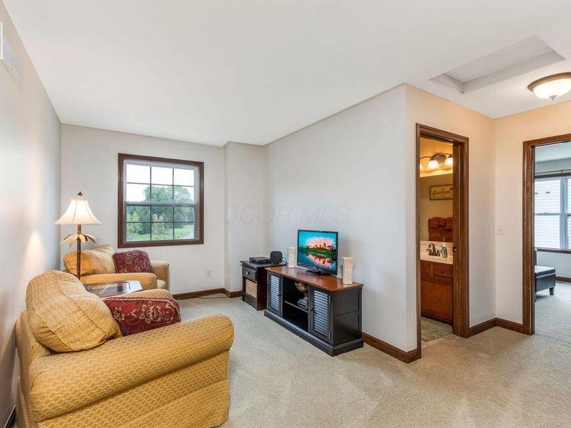 8391 Tricia Price Drive, Powell, OH 43065 Photo 43