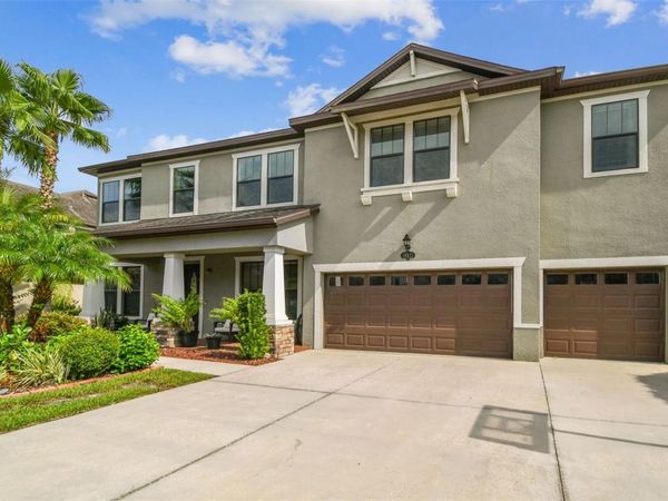 10627 MISTFLOWER LANE , TAMPA, FL 33647