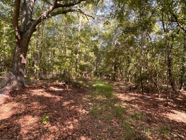 0 Rocky Drive, Colbert, GA 30628