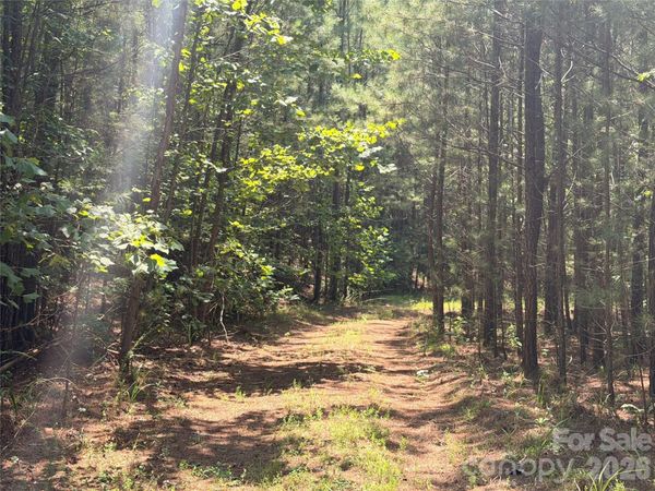 000 Thompson Lake Road , Rutherfordton, NC 28139