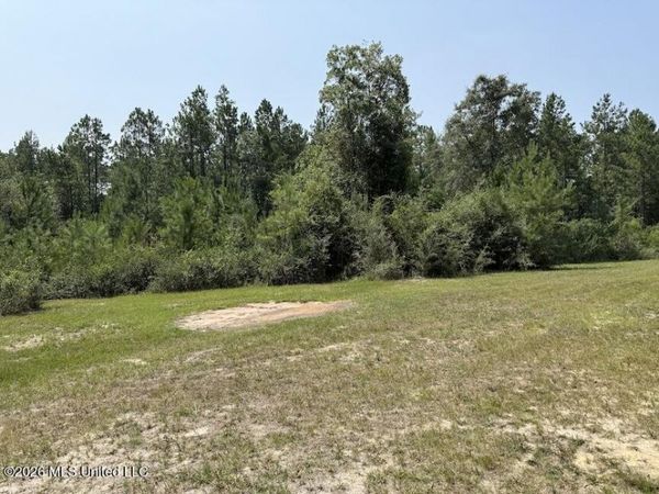 Roy Oneal Road, Perkinston, MS 39573