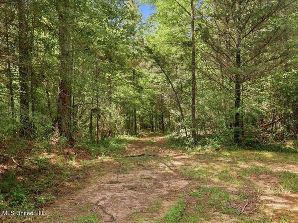077 Sulphur Springs Road, Canton, MS 39046