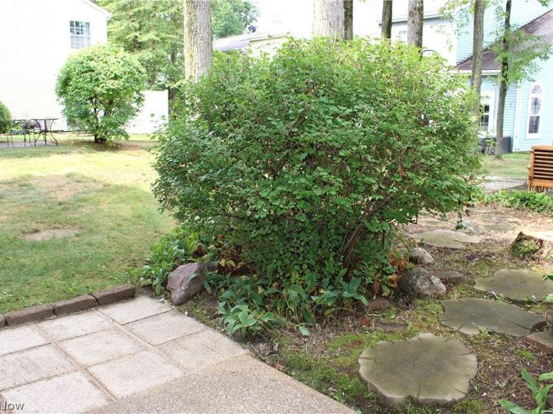 7260 Somerset Court, Northfield, OH 44067 Photo 30