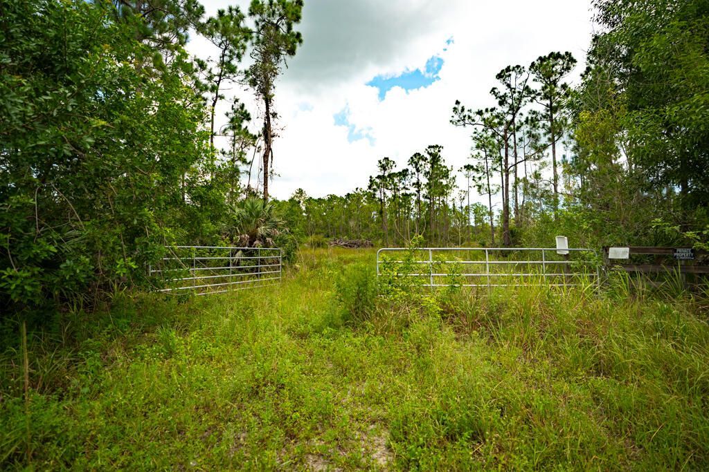 12460 79th Street, Fellsmere, FL 32948 Photo
