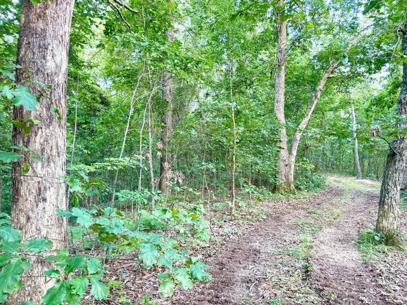 0 SR 73, Franklin Twp, OH 45660 Photo 11