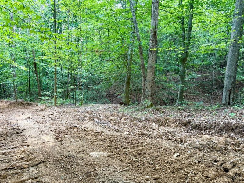 0 SR 73, Franklin Twp, OH 45660 Photo 13