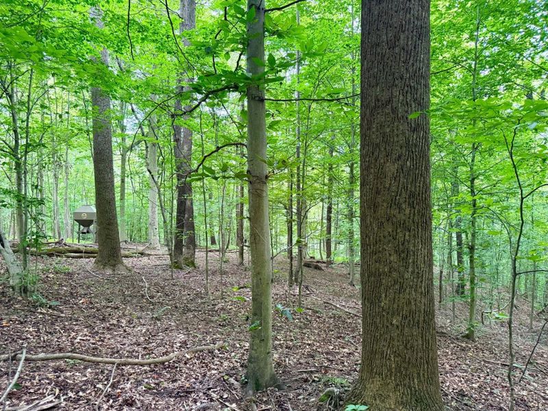 0 SR 73, Franklin Twp, OH 45660 Photo 17