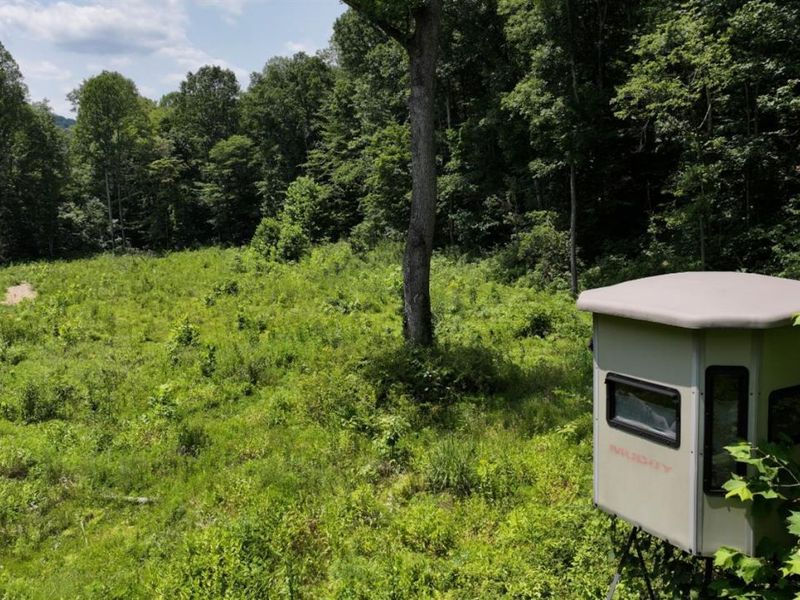 0 SR 73, Franklin Twp, OH 45660 Photo 22