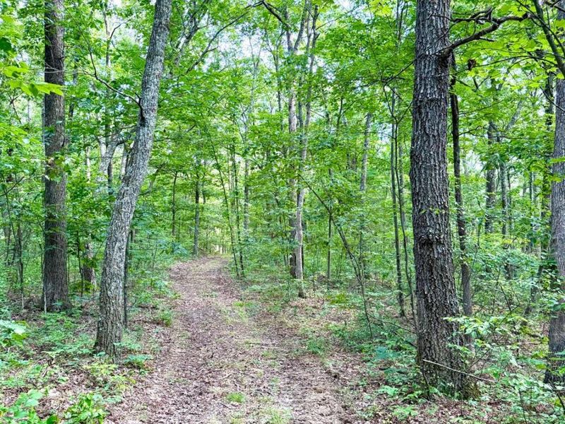 0 SR 73, Franklin Twp, OH 45660 Photo 27