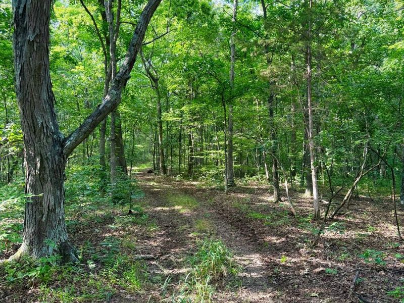 0 SR 73, Franklin Twp, OH 45660 Photo 28