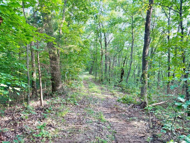 0 SR 73, Franklin Twp, OH 45660 Photo 29