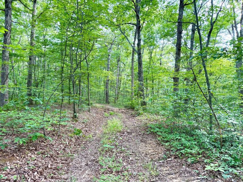 0 SR 73, Franklin Twp, OH 45660 Photo 3