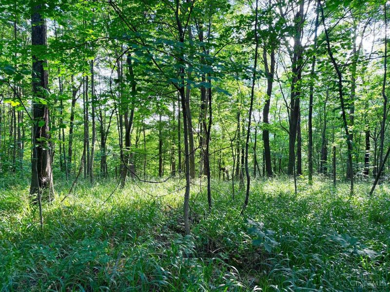 0 SR 73, Franklin Twp, OH 45660 Photo 31