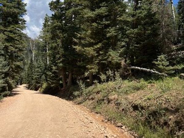 6410 W KODIAK DR , Unit 12, Duck Creek Village, UT 84762
