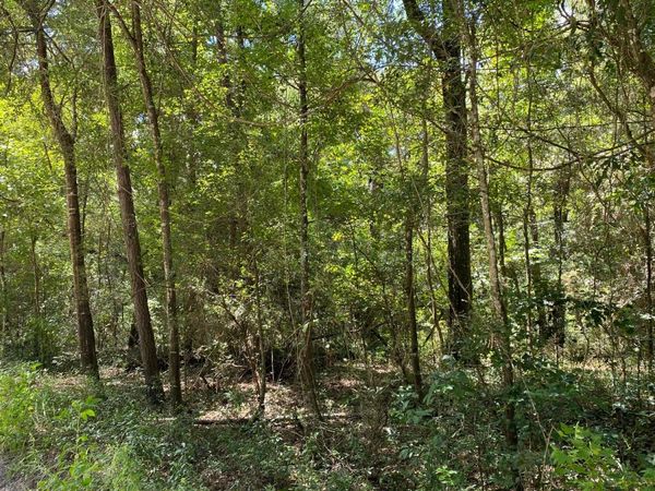 LOT39 SW 76TH DRIVE, Jasper, FL 32053