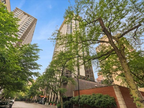 1310 N Ritchie Court, Unit 10AD, Chicago, IL 60610
