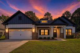 256 Murray Falls Lane  photo 4